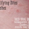 Mosquito, Bed Bug, Spider Bite Comparison