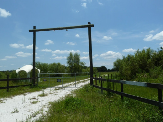 Arcadia, Florida Off the Grid Aqua Farm ruined by Gov Scott Dept of Agriculture conspiracy.
