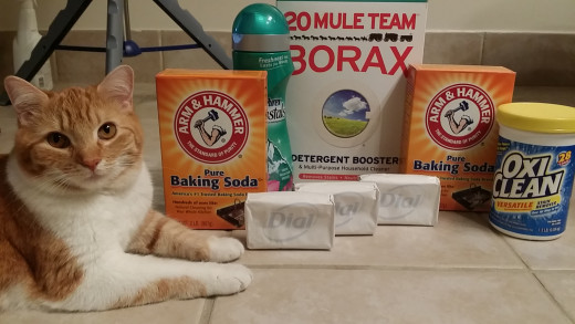 My cat, Slowpoke, posing in front of the ingredients.