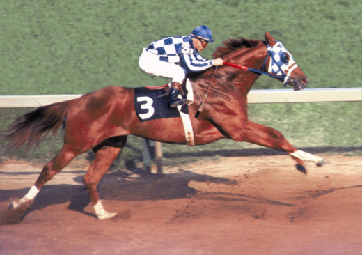 Secretariat leaps into his characteristic surge in the 1973 Preakness Stakes.
