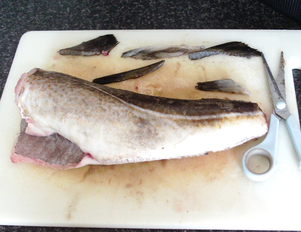Fins are cut from body of codling