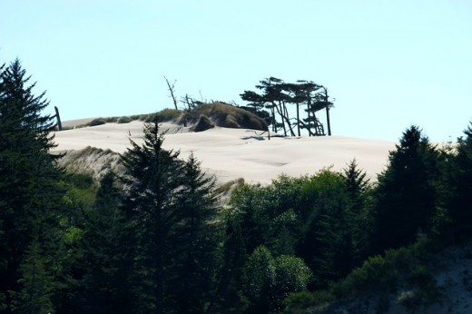 Dunes National Recreation Area, south of Portland on the pacific Coast.