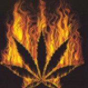 pothead profile image
