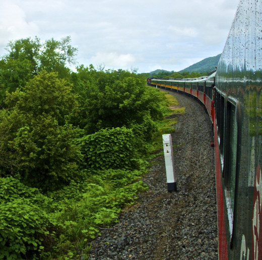 The train consists of 10 cars. When it winds around the curves, it's possible to see all the train from the back car.