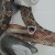 Rat snakes can climb, unlike copperheads. Rat snakes can climb, unlike copperheads.