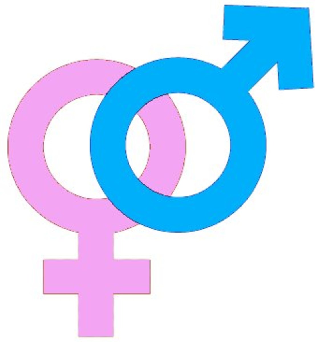 Género - masculino y femenino