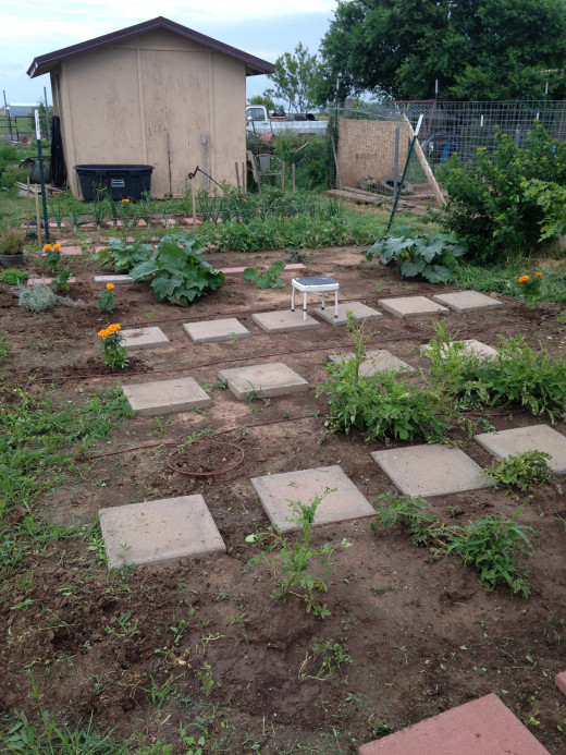 Garden Pic 1