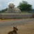http://www.flickr.com/photos/arunj/2723782953/ http://www.flickr.com/photos/arunj/2723782953/