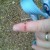 http://www.flickr.com/photos/markhillary/1305284154/ http://www.flickr.com/photos/markhillary/1305284154/