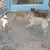 http://www.flickr.com/photos/eustaquio/2192839226/ http://www.flickr.com/photos/eustaquio/2192839226/