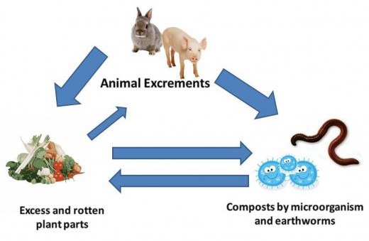 Image showing efficient use of farm by-products