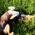 http://www.flickr.com/photos/lucianvenutian/977436098/ http://www.flickr.com/photos/lucianvenutian/977436098/