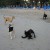 http://www.flickr.com/photos/casers/109979913/ http://www.flickr.com/photos/casers/109979913/