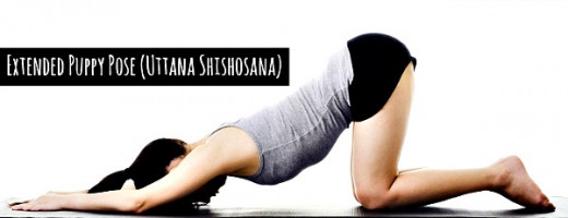 Extended Puppy Pose (Uttana Shishosana) stretches out your spine and eliminates all back pain just like your dog would do - Curejoy