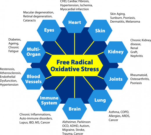 Free radicals influence many diseases of the body. 