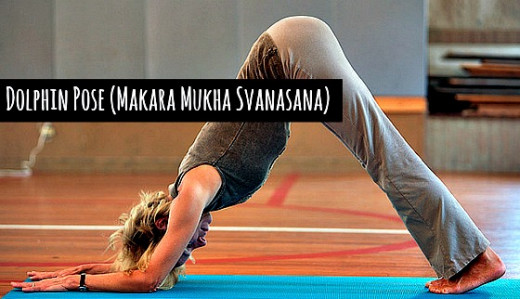 Dolphin Pose (Makara Mukha Svanasana) - Anne Hungerford