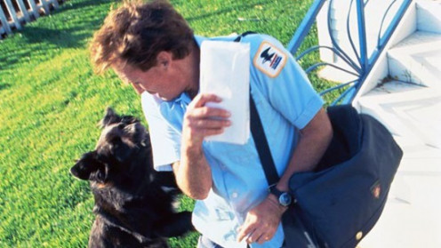 Dogs will bite humans sometimes for no reason.