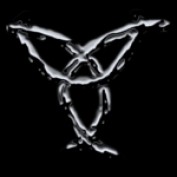 Spiderift profile image