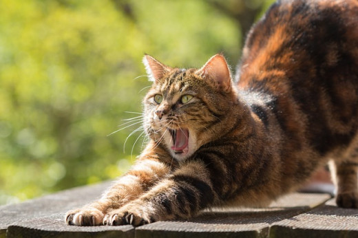 Stretch and relax