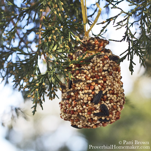 Pine cone birdfeeder