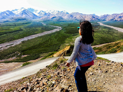 The bus tour across the park offers many spectacular views of the tundra landscape.