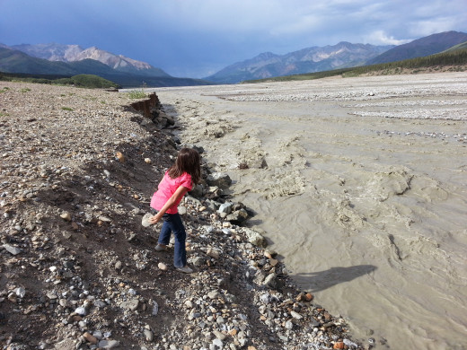 Glacial till, or the sediment created by the friction between retreating glaciers and rock, creates the murky gray  colors of the park's larger streams.