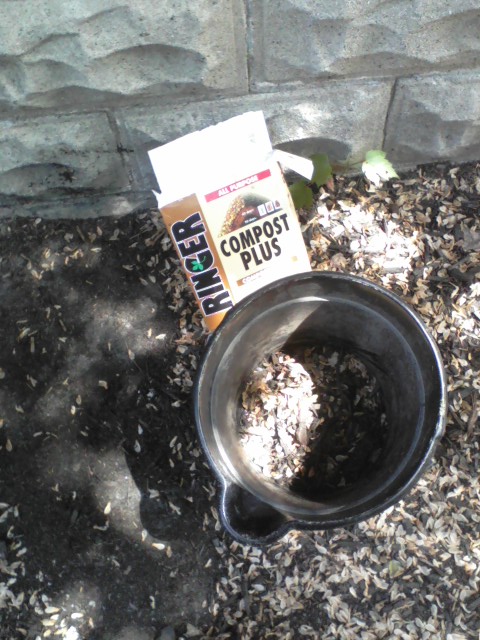 I will make sure the seeds aren't viable before I add these to the weedy compost pile -- never the "good" compost bin.