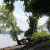 Tress lining the shoreline. Tress lining the shoreline.