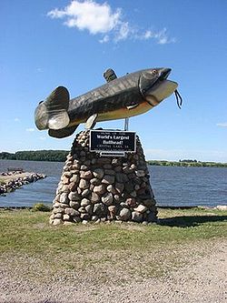 Bullhead fish statue