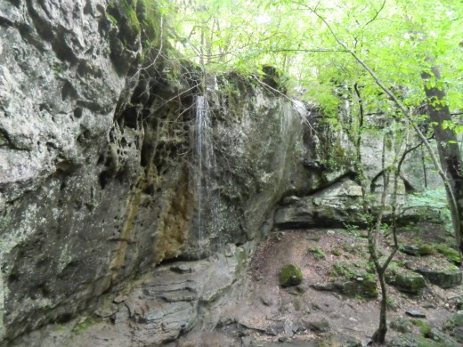 Waterfall along the trail