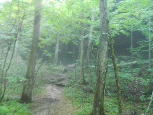 Entrance to the cave