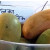 Mango variety Mallika
