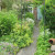 A cottage garden in School Lane, Bishopthorpe 