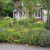 Cottage gardens on Main Street, Bishopthorpe next to the old Post Office