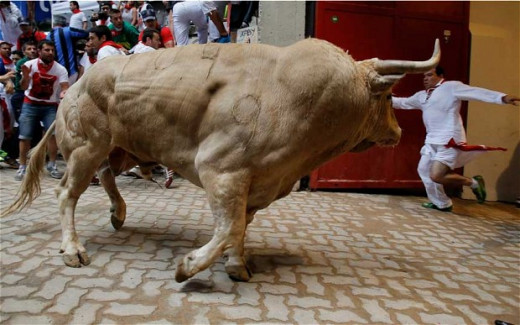 The Higgs Bison