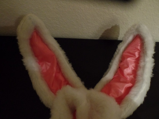 Homemade ears with store-bought ears used for stability