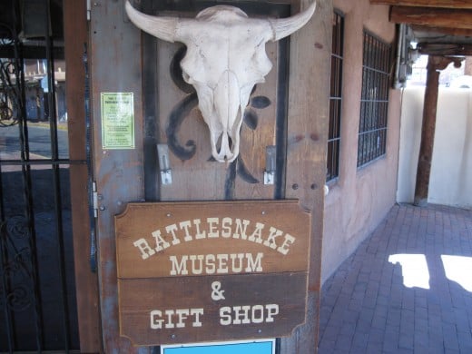 Front of Rattlesnake Museum