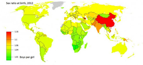 Sex Ration:   Number of boys to girls