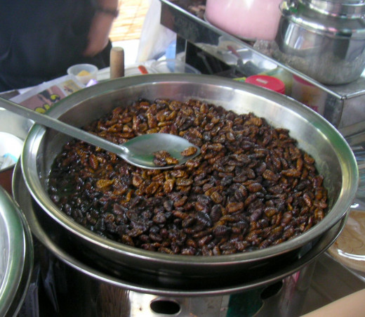 Beondegi is an unusual site, but is surely a unique street food to find.