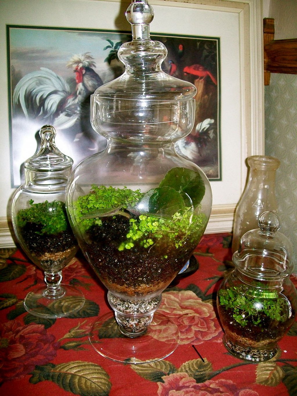 How to Plant Easy Terrariums