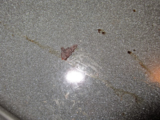 Grease spills in my oven.