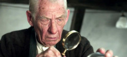 Mr. Holmes' Last Bow: A Story of Completion