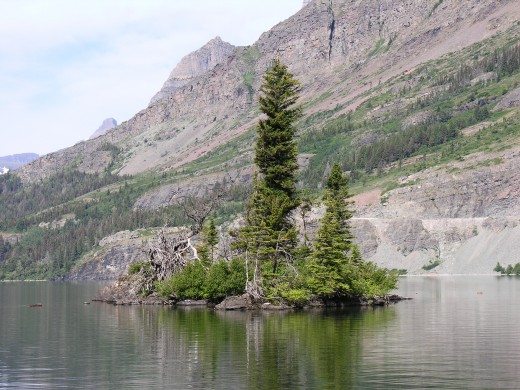 Wild Goose Island.