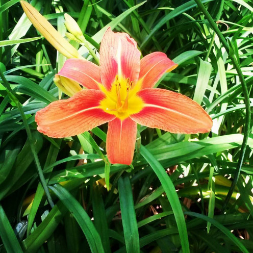 Photo By: Nora Heighton, Author