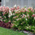 Outside the Greenhouse Outside the Greenhouse