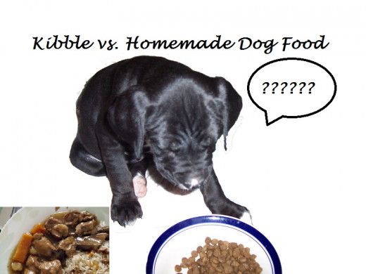 Dangers or raw diet in dogs, dangers of homemade diet in dogs