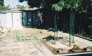 2010 Garden
