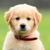 Emmalee Moore profile image