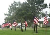 Flags fly in Winnsboro