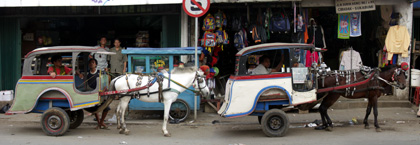 A Cibadak/Sukabumi Delman